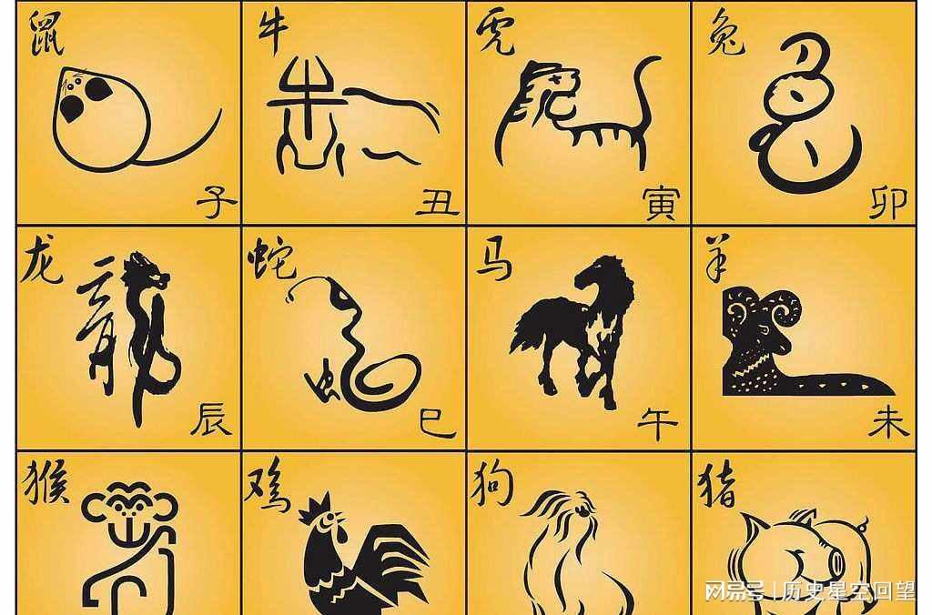 抠抠搜搜对外人,本性小气怎奈何是猜打一最佳准确生肖的全面释义、解释与落实、实时解答解释落实